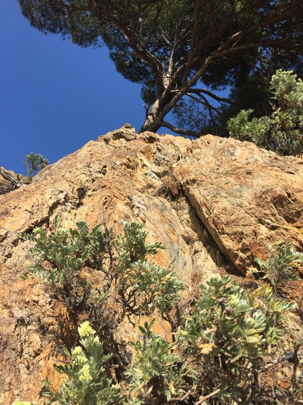Grand Hotel Moriaz Le Lavandou Εξωτερικό φωτογραφία